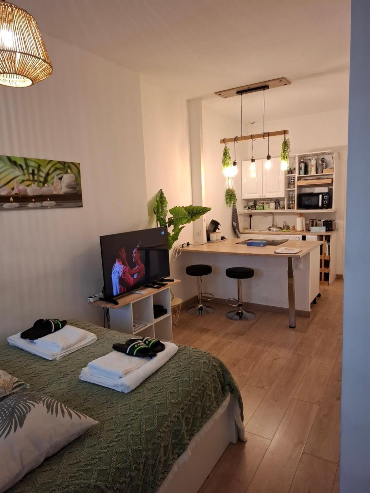 Apartment La Casa De Planel Gare Saint Roch