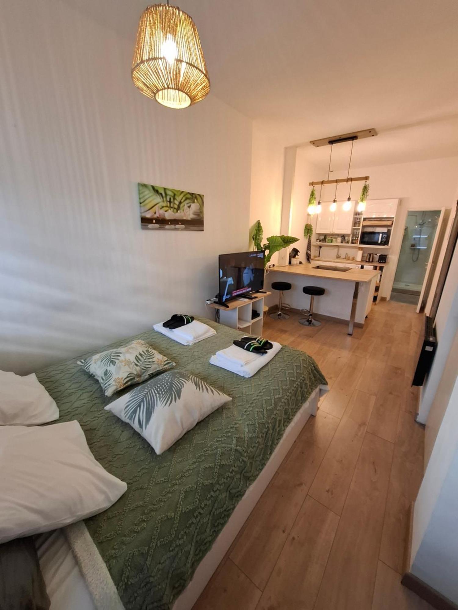 Apartment La Casa De Planel Gare Saint Roch Montpellier